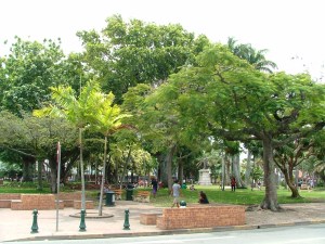 Park in Noumea, New Caledonia