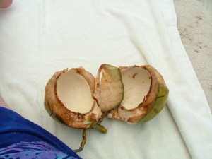 Fresh Coconut meat!