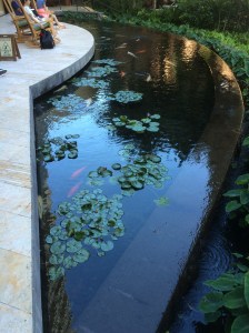 Koi Pond
